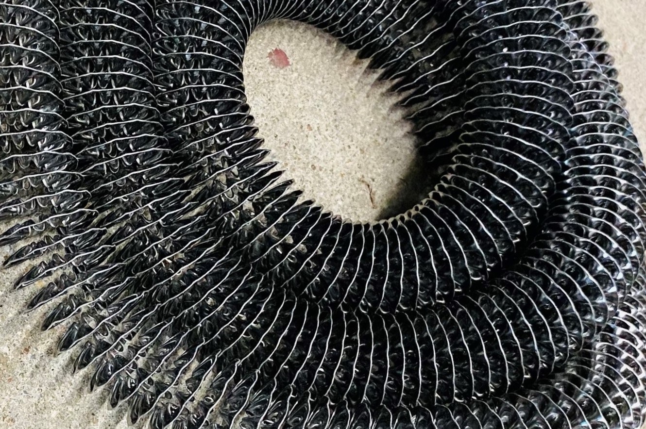 CÁNH TẢN NHIỆT